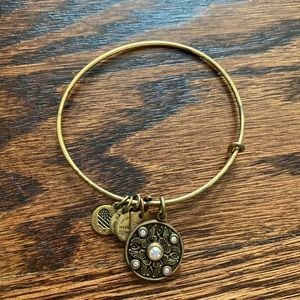 Alex and Ani charm bracelet